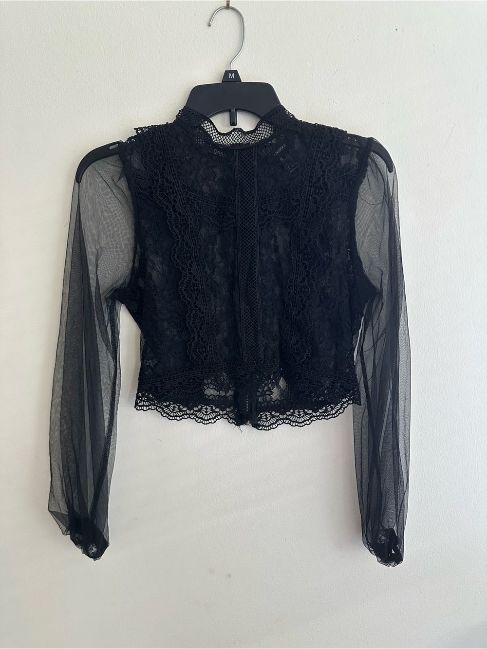 Black Lace Crop Blouse with Sheer Long Sleeves